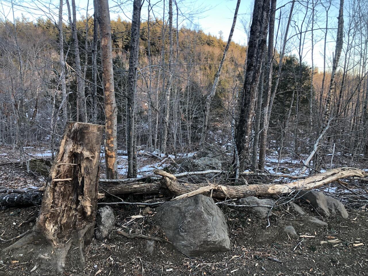 L25 Canton Mountain Road Jay, ME 04239 - Photo 25 of 25 IMG_8019