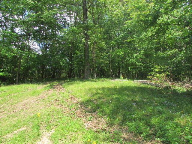 903 Fall River Road Lawrenceburg, TN 38464 - Photo 8 of 17