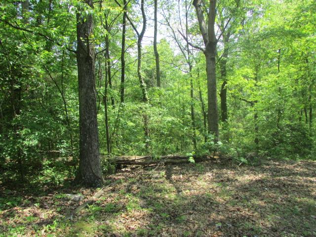 903 Fall River Road Lawrenceburg, TN 38464 - Photo 9 of 17