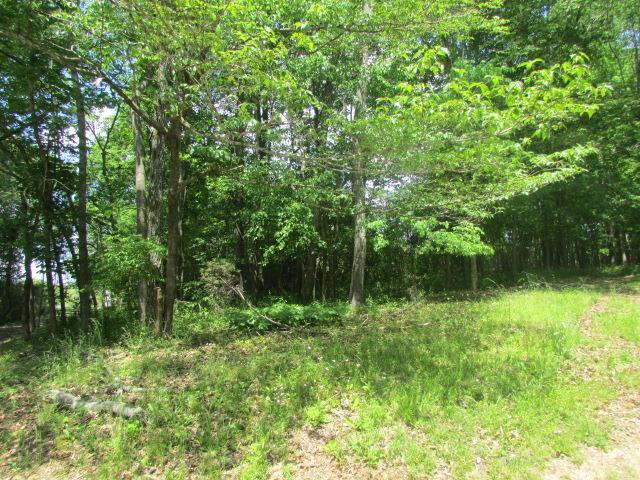 903 Fall River Road Lawrenceburg, TN 38464 - Photo 10 of 17