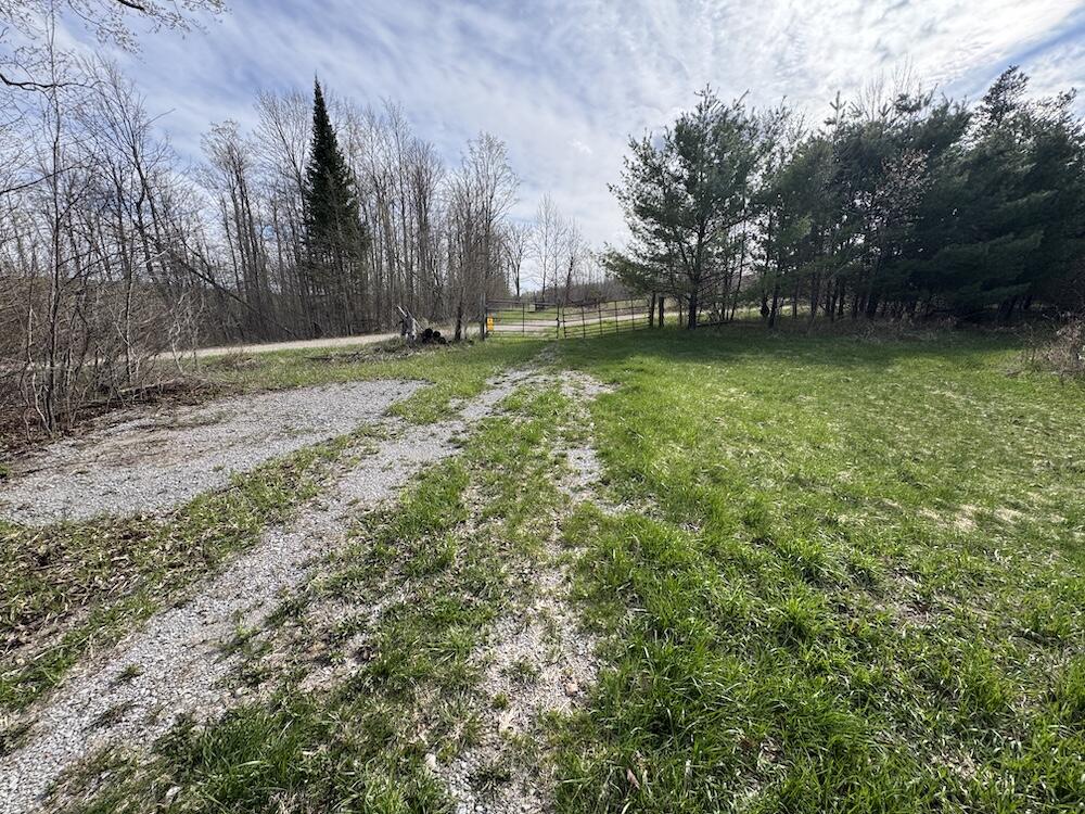 Vl Curtisville Road Mio, MI 48647 - Photo 141 of 141 IMG_2392