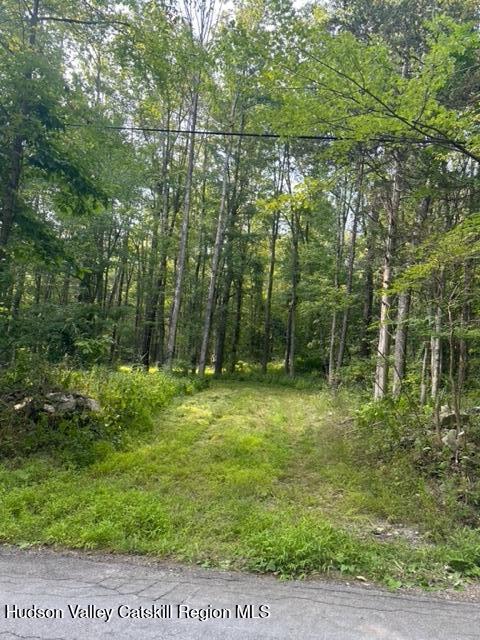 0 Bate Road Craryville, NY 12521 - Photo 3 of 10 IMG_9288