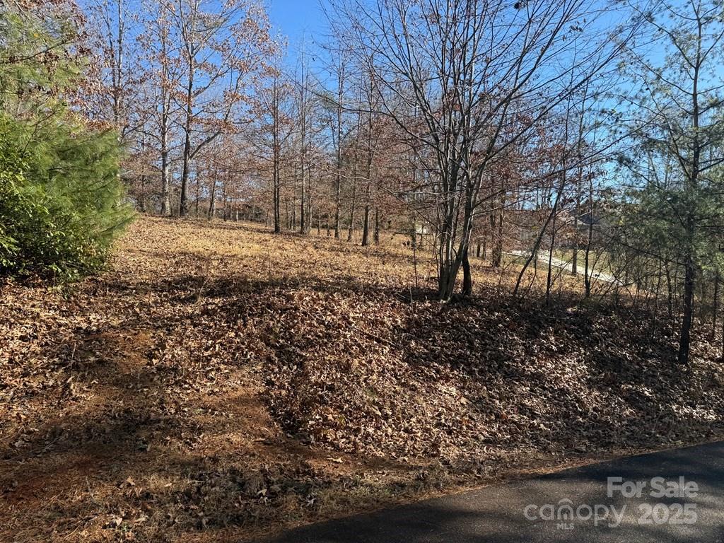 15 Sunshine Acres, Unit NONE Sylva, NC 28779 - Photo 5 of 7