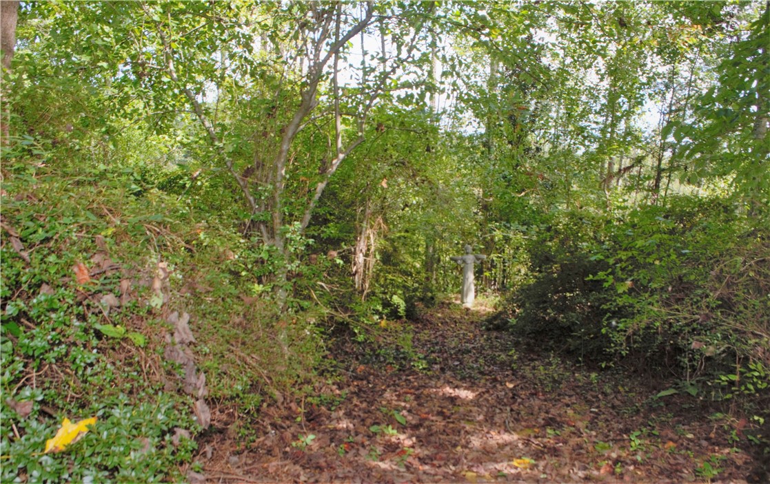 457 Old Fox Squirrel Ridge Road, Unit PICKENS Pickens, SC 29671 - Photo 24 of 24
