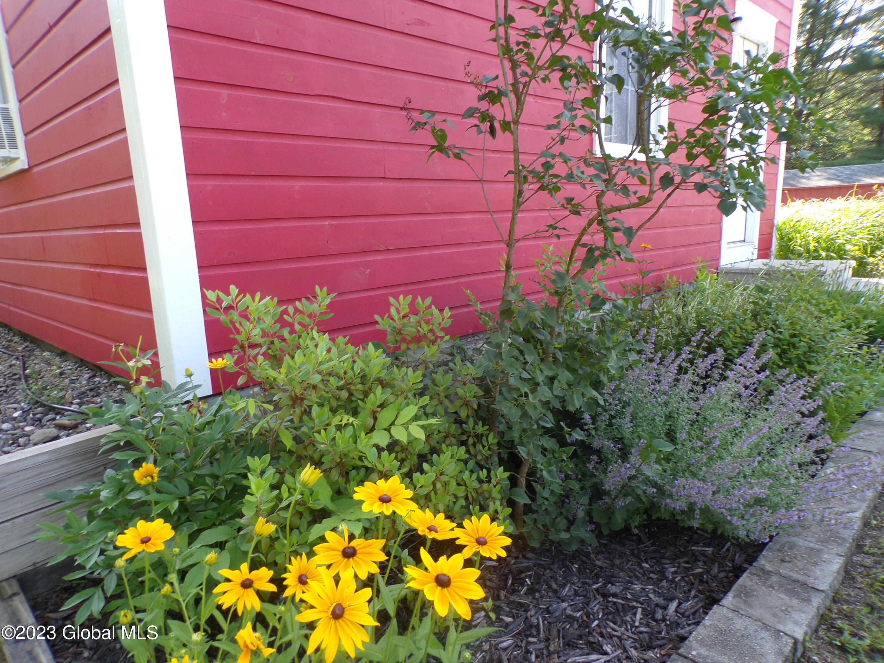 16 Smith Road Salem, NY 12865 - Photo 48 of 65 Smith Flowers