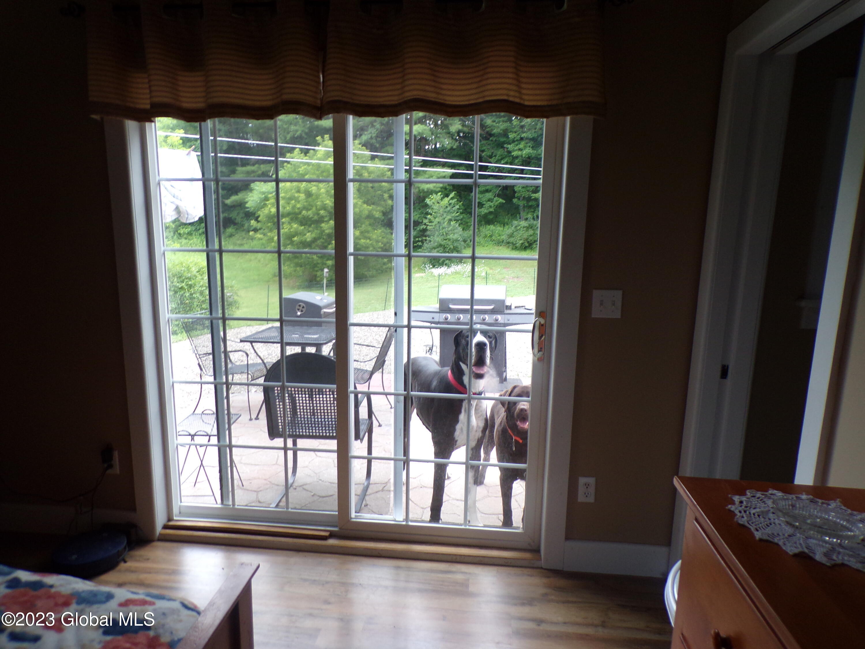 16 Smith Road Salem, NY 12865 - Photo 65 of 65 Smith Babies