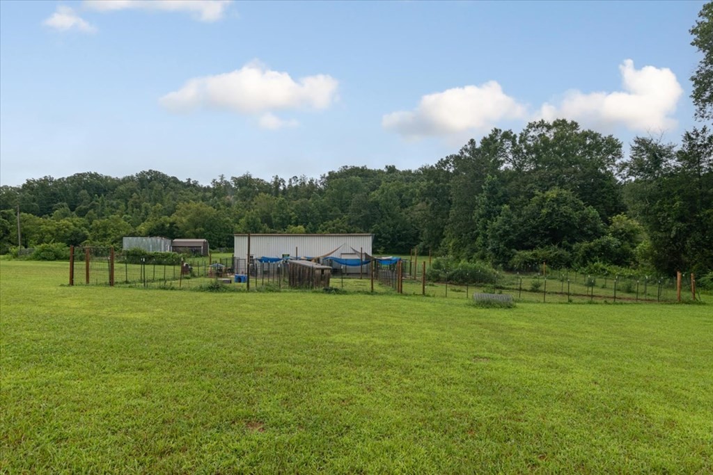 6565 Toestring Valley Road Spring City, TN 37381 - Photo 51 of 64 Gallery Image 51