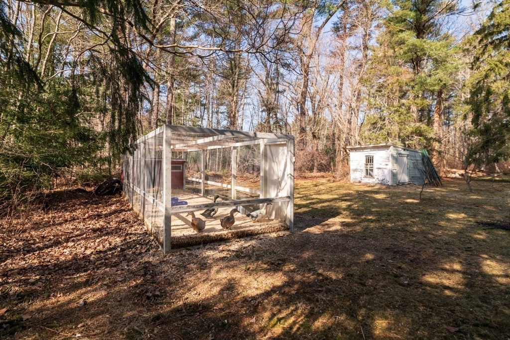 501 Spring Street Hanson, MA 02341 - Photo 24 of 32 a view of yard with tree
