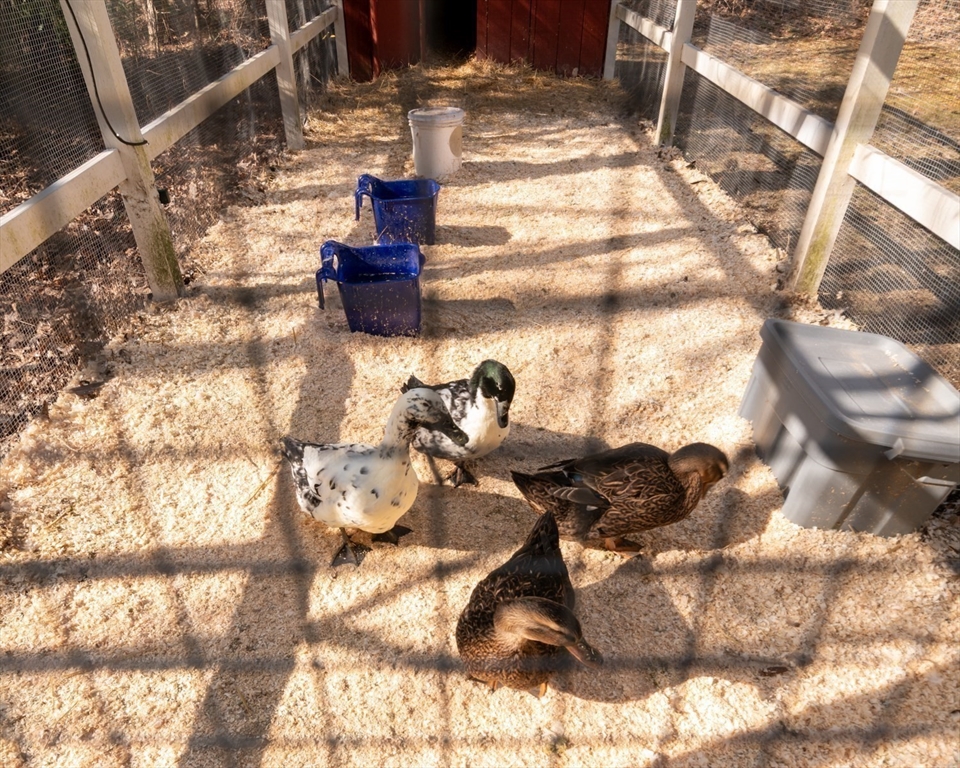 501 Spring Street Hanson, MA 02341 - Photo 25 of 32