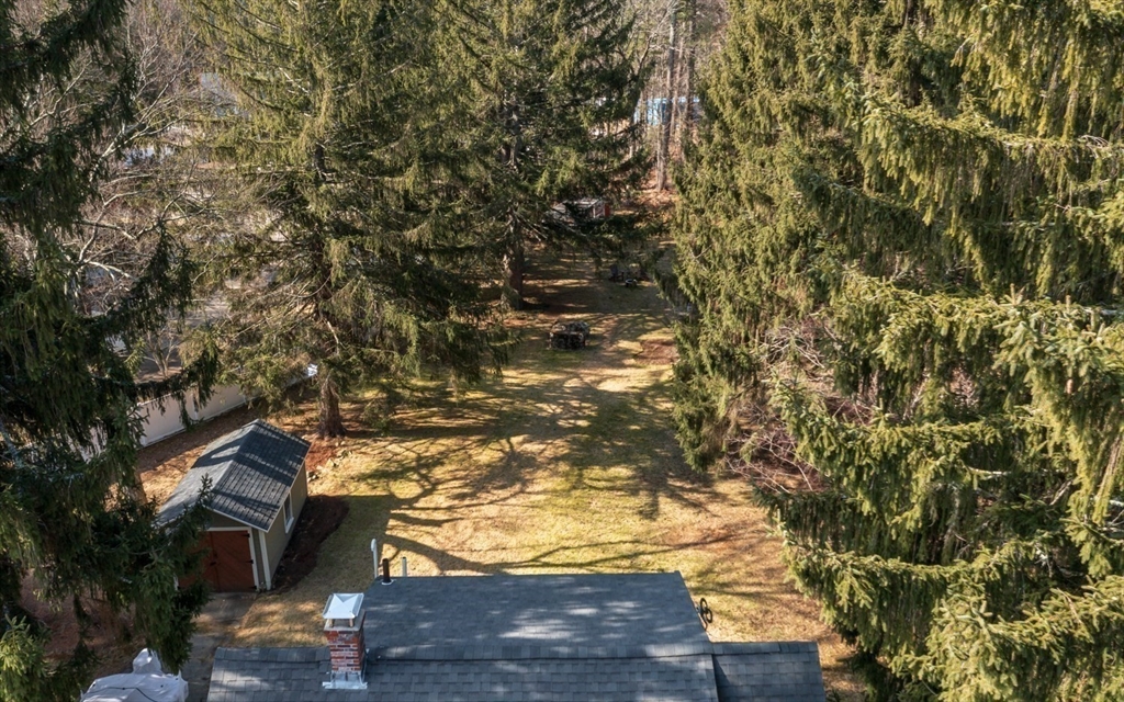 501 Spring Street Hanson, MA 02341 - Photo 26 of 32 a view of tree