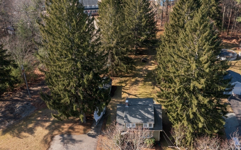 501 Spring Street Hanson, MA 02341 - Photo 27 of 32 a view of a tree