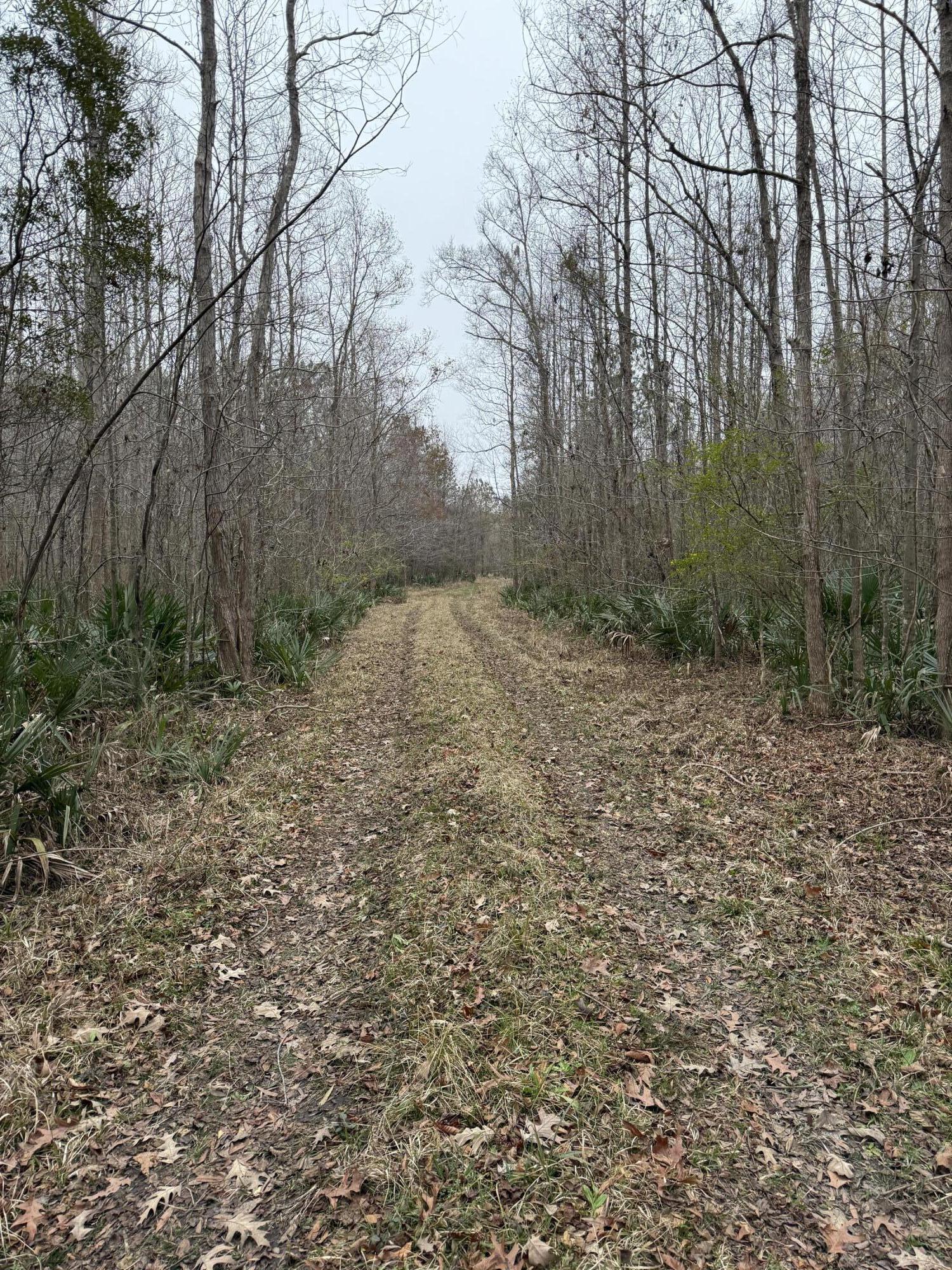 0 Old Highway 52 Moncks Corner, SC 29461 - Photo 4 of 4 IMG_4654