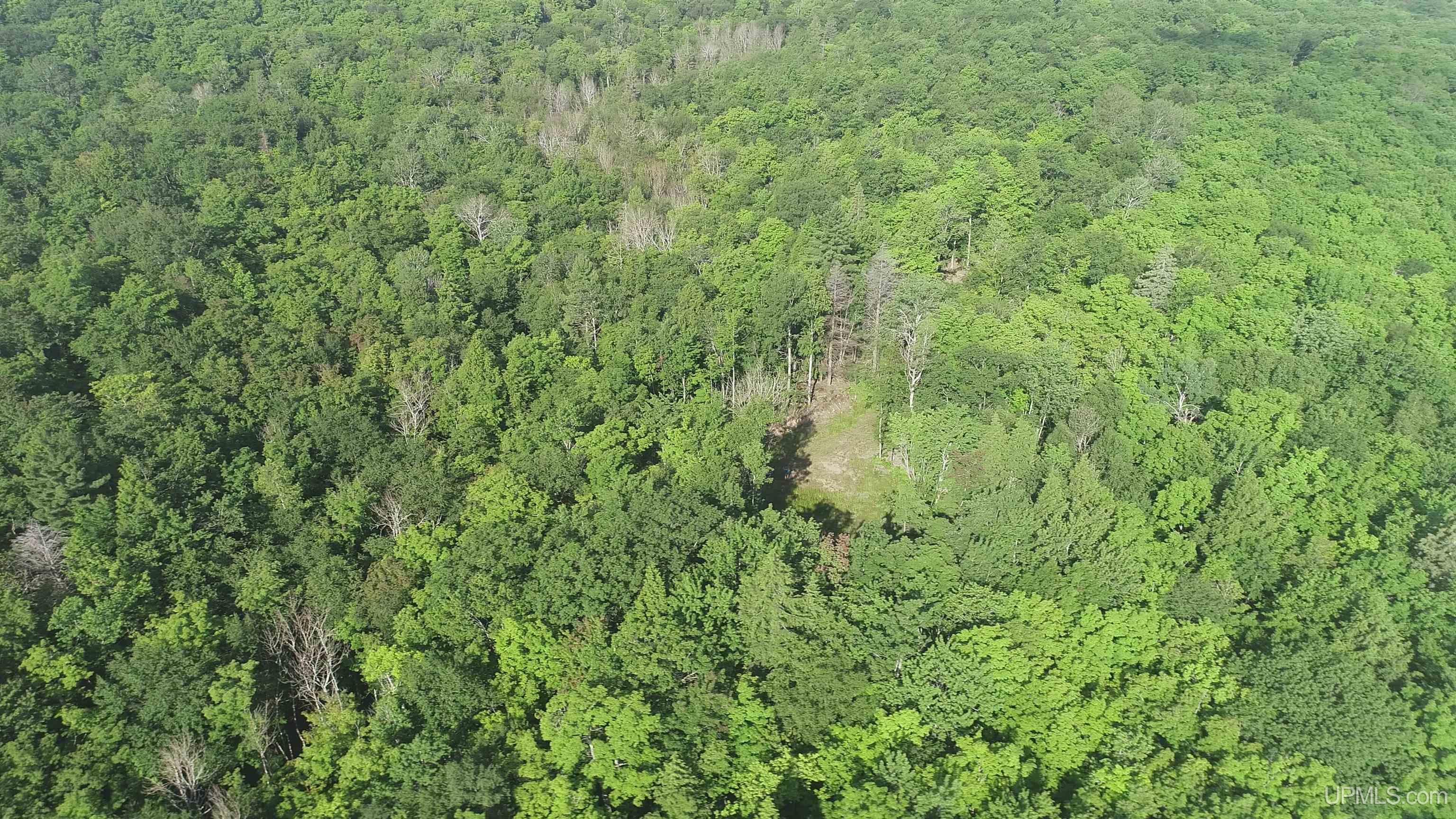 510 Rd Ishpeming Mi 49849 Road Negaunee, MI 49866 - Photo 29 of 33
