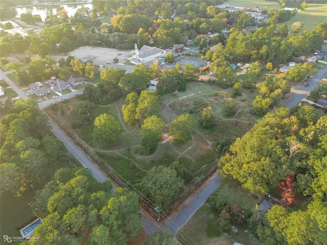 a view of a garden with wooden floor