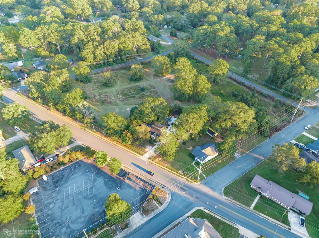 200 Germantown Road Minden, LA 71055 - Photo 10 of 10 a view of a garden with wooden floor
