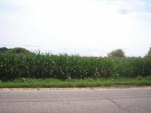 0 Rt 76 & Hunter Road Caledonia, IL 61011 - Photo 1 of 1 a view of a yard with a tree