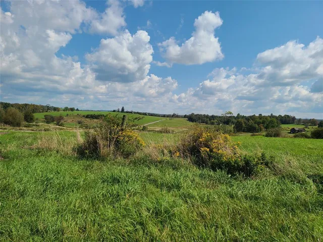 a view of a garden with an outdoor space