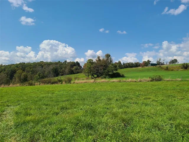 a view of a golf course with a fountain