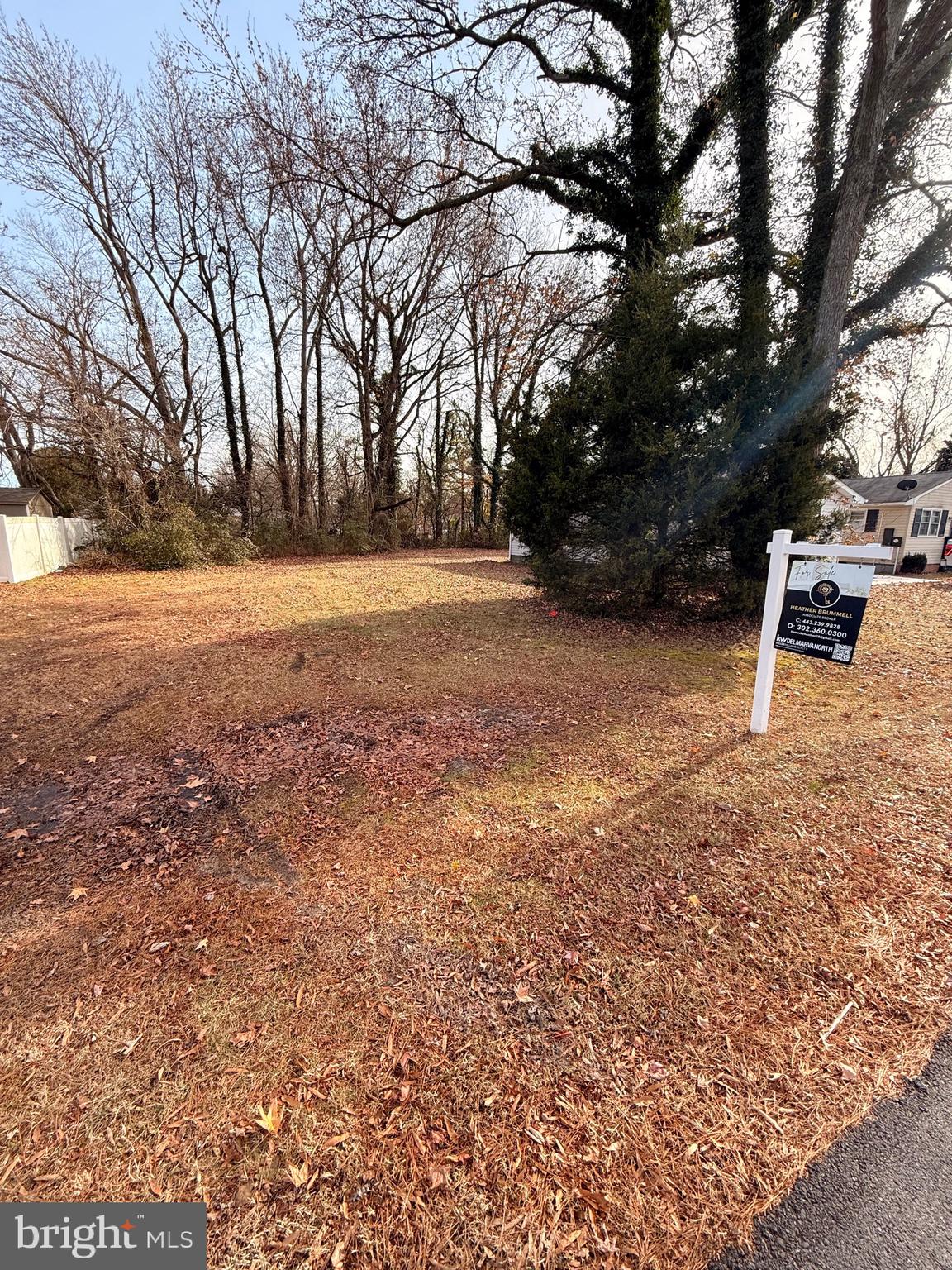 a view of outdoor space with trees