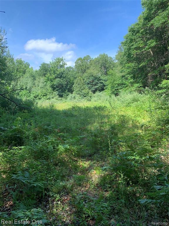 10382 Tuttle Hill Road Maybee, MI 48159 - Photo 1 of 2