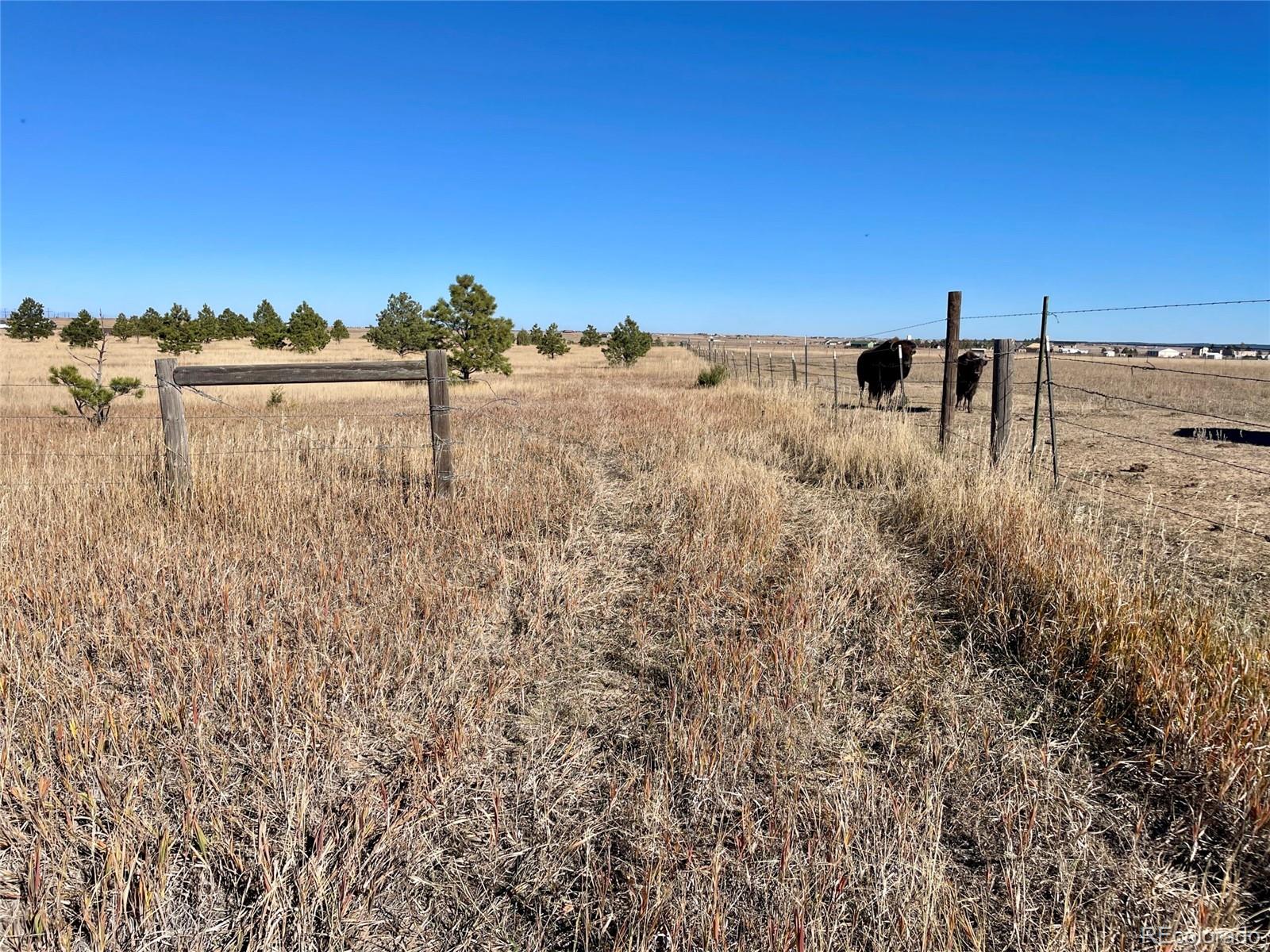 98 Parcel A County Road Elbert, CO 80106 - Photo 2 of 11 a view of a lake with houses in the back