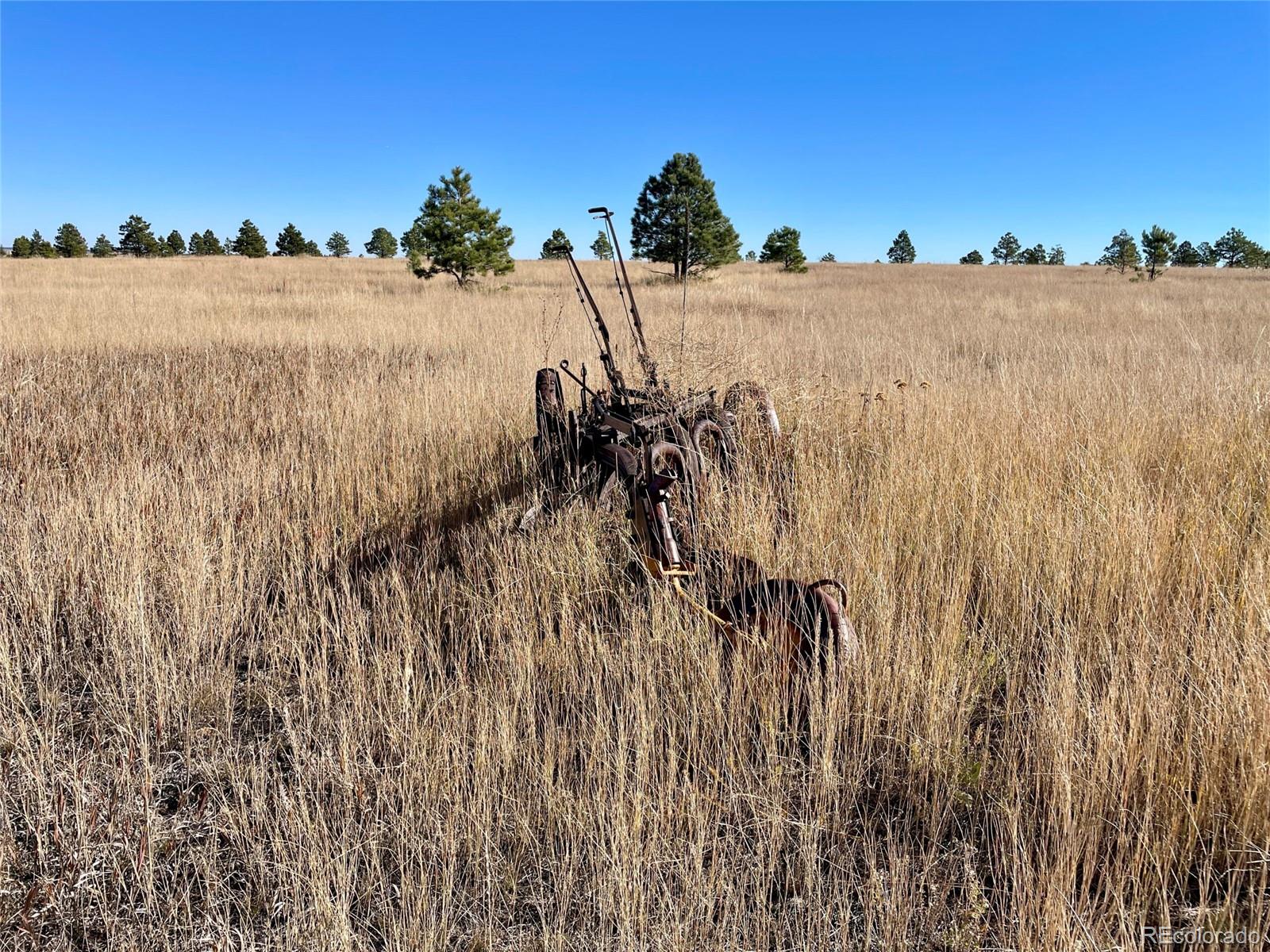 98 Parcel A County Road Elbert, CO 80106 - Photo 6 of 11 a view of a yard