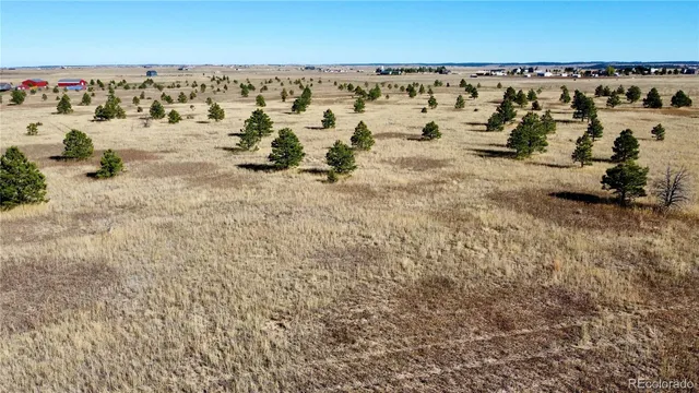 an ocean beach with lots of trees
