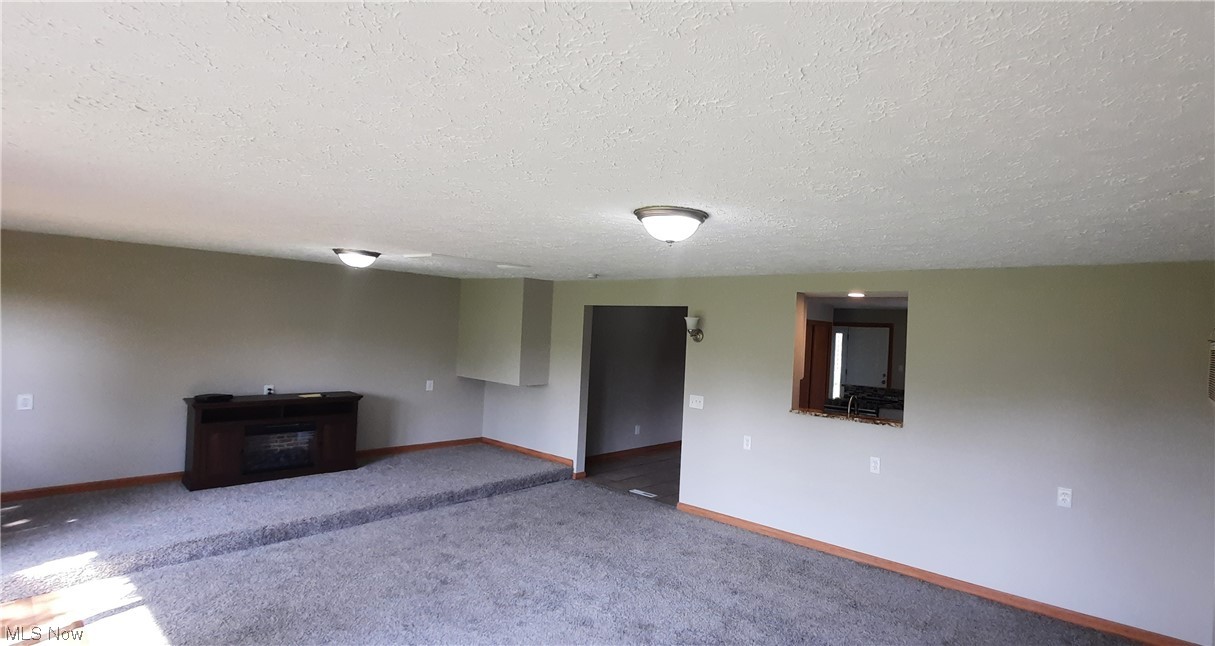 4608 Beat Road Litchfield, OH 44253 - Photo 9 of 34 Gallery Image 9