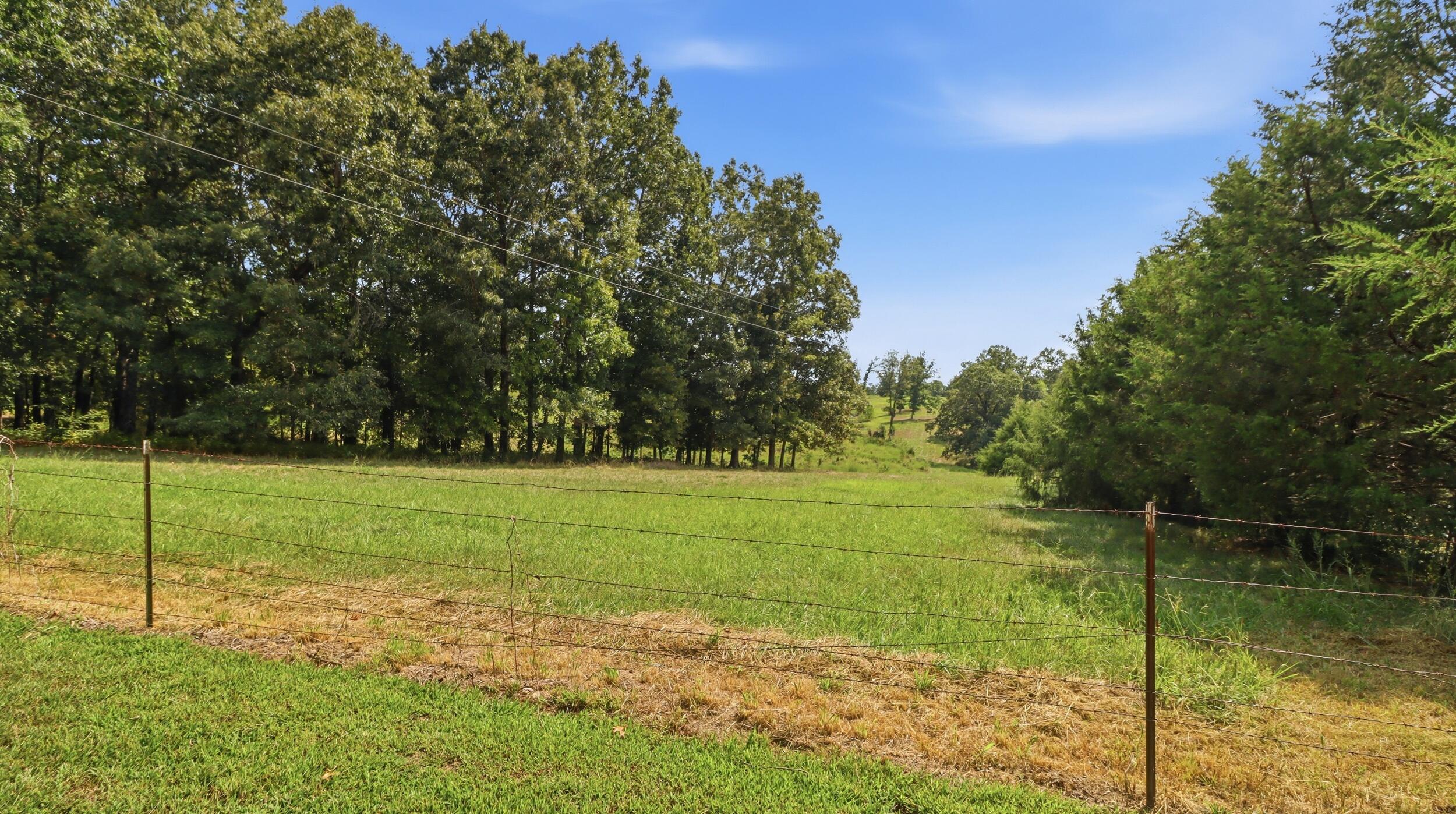 134 McIntire Road Caulfield, MO 65626 - Photo 9 of 74 IMG_0092