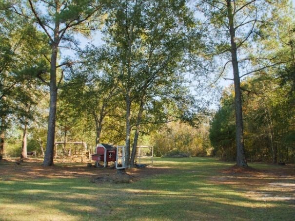 594 Hill Road Ray City, GA 31645 - Photo 45 of 55 Gallery Image 45
