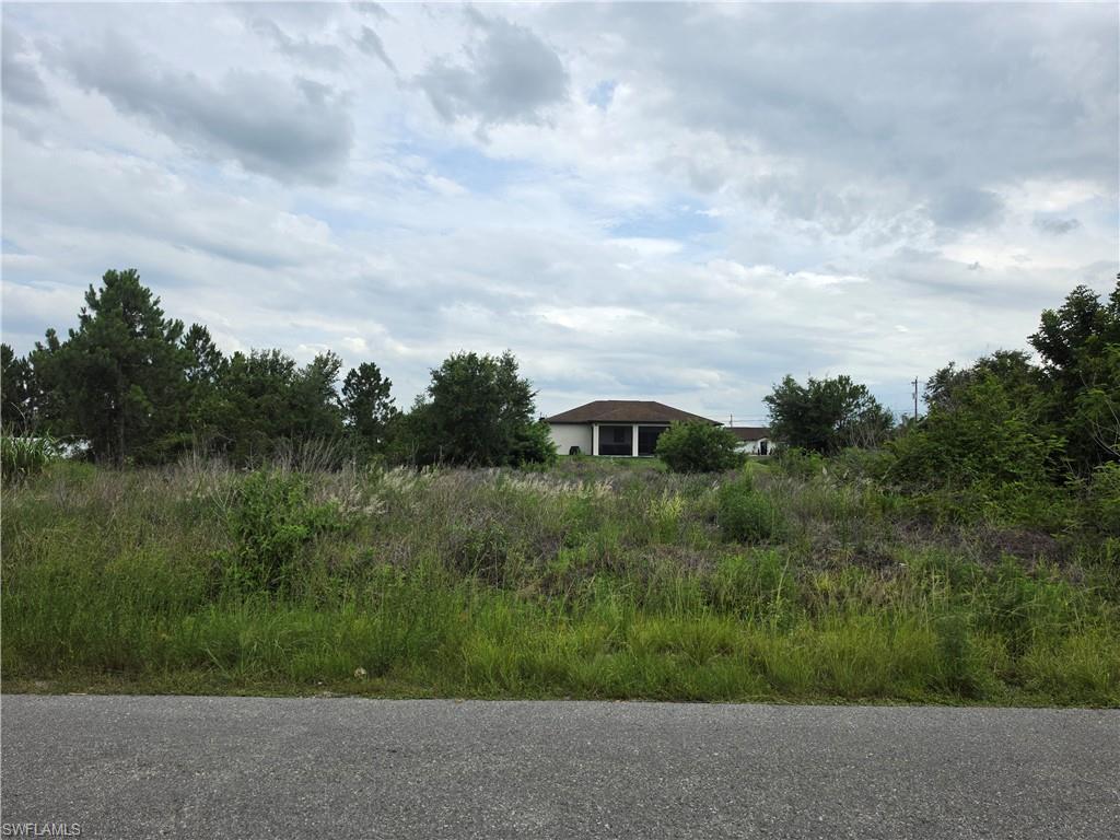 4011 3rd Street Southwest Lehigh Acres, FL 33976 - Photo 4 of 6