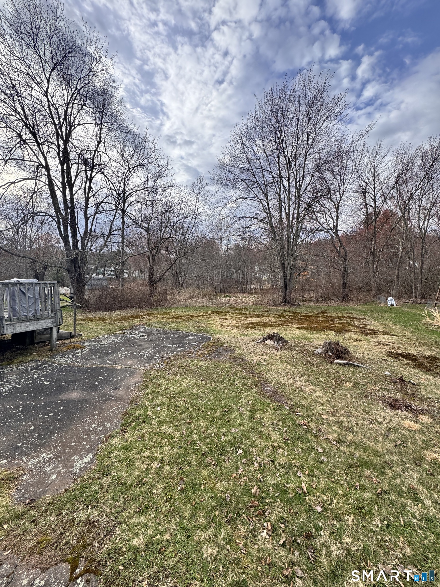 45 Lawrence Street Vernon, CT 06066 - Photo 14 of 17 a view of large yard with large trees