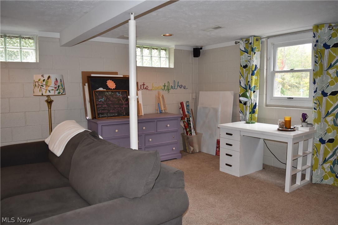 11460 Lakeview Road Chardon, OH 44024 - Photo 26 of 35 Gallery Image 26