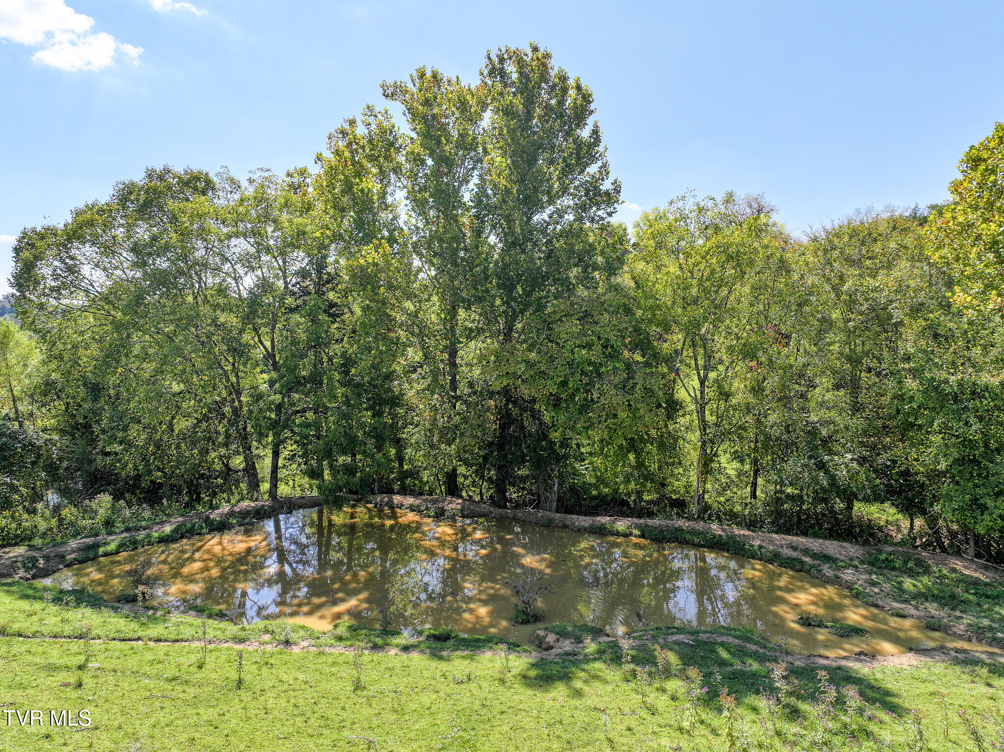Lot 3 Union Road Greeneville, TN 37745 - Photo 6 of 23 7