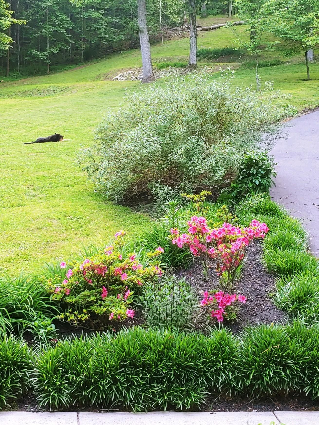 456 Lewallen Road Clinton, TN 37716 - Photo 26 of 26 a view of a garden with a flower garden