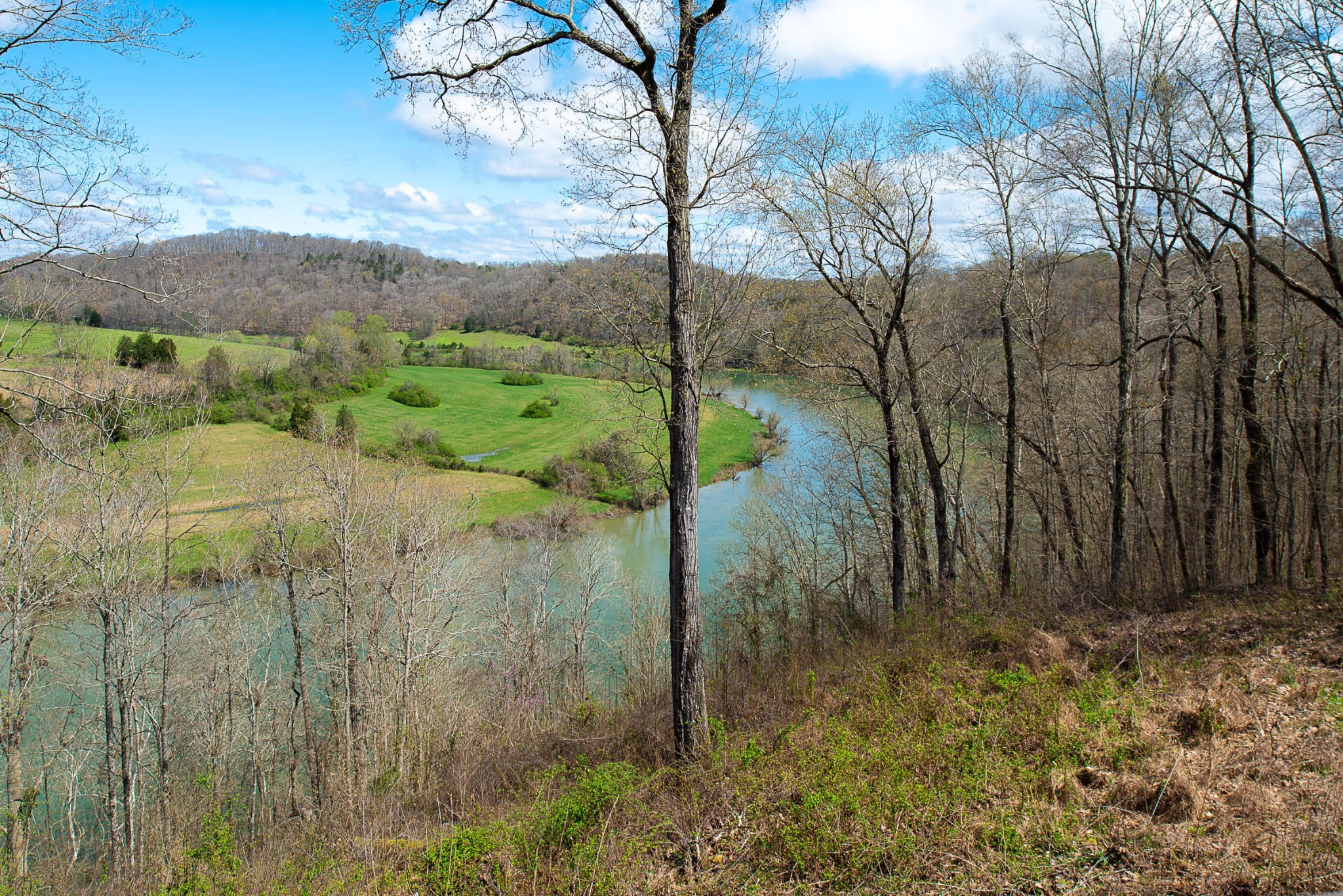 456 Lewallen Road Clinton, TN 37716 - Photo 8 of 26 a view of a wooden fence