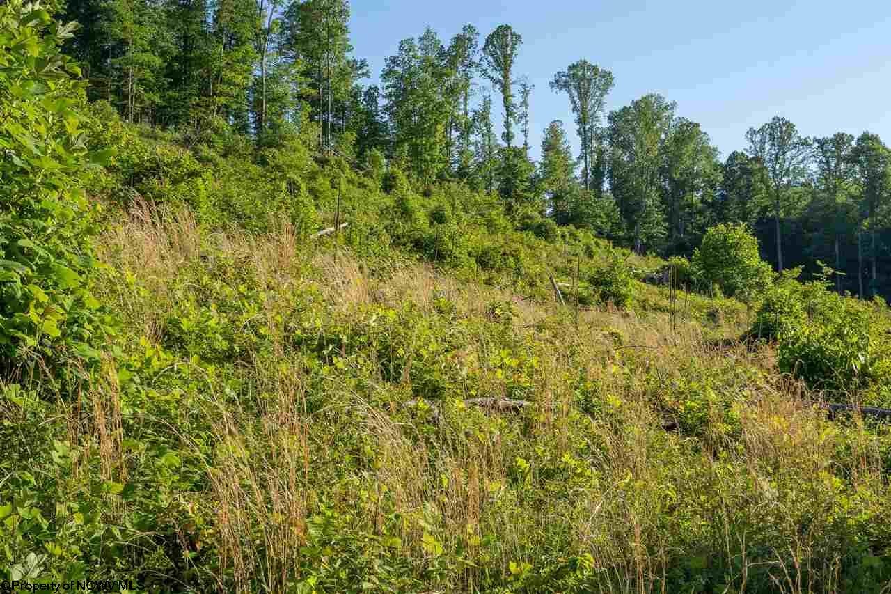 Tbd Hunter Ridge Road Rock Cave, WV 26234 - Photo 11 of 20 Gallery Image 11
