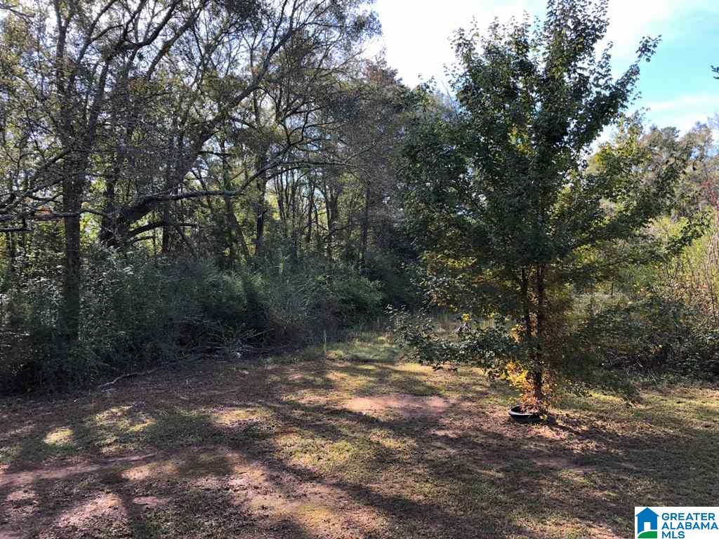 1554 Priebes Mill Road Oxford, AL 36203 - Photo 37 of 49