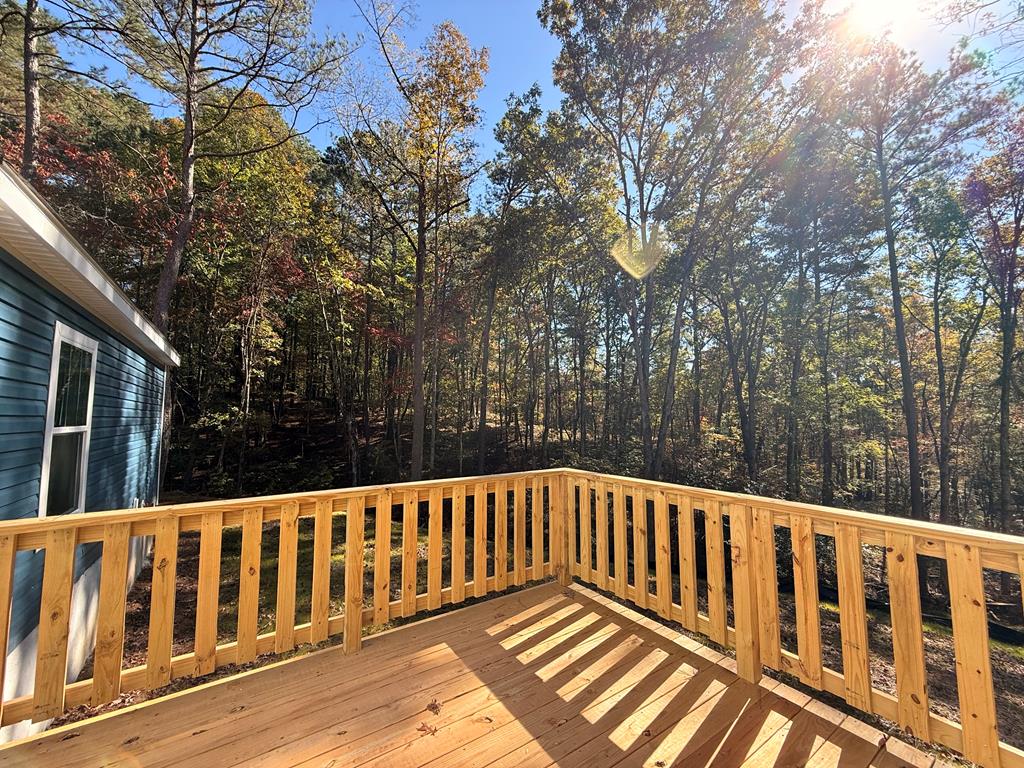 427 Lower Tails Creek Road Ellijay, GA 30540 - Photo 28 of 31 Gallery Image 28