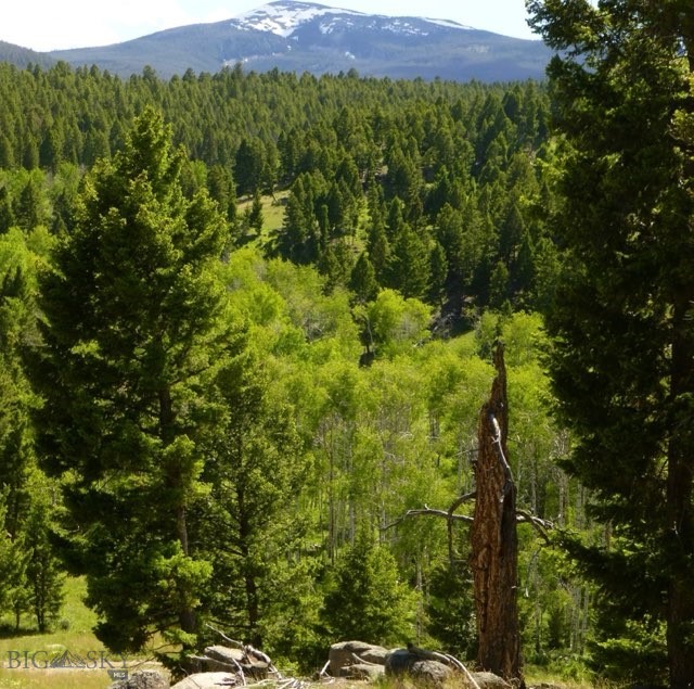 3414 Divide Creek Road Divide, MT 59727 - Photo 57 of 61 Gallery Image 57