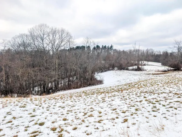 $1 | 0 Township Road 233, Unit TRACT #12, Summerfield, OH 43788