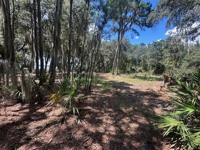 356 Drayton Island Road Georgetown, FL 32139 - Photo 34 of 41 Gallery Image 34