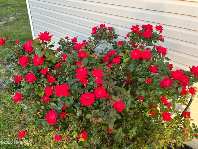 $355,000 | 428 Elgin Road, Hubert, NC 28539