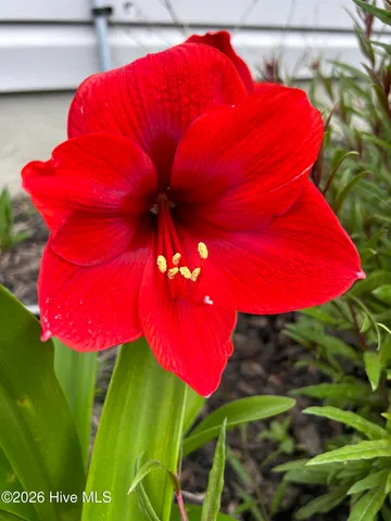 $355,000 | 428 Elgin Road, Hubert, NC 28539