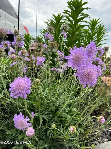 $355,000 | 428 Elgin Road, Hubert, NC 28539