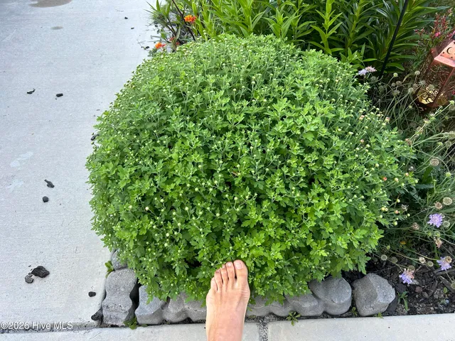 $355,000 | 428 Elgin Road, Hubert, NC 28539