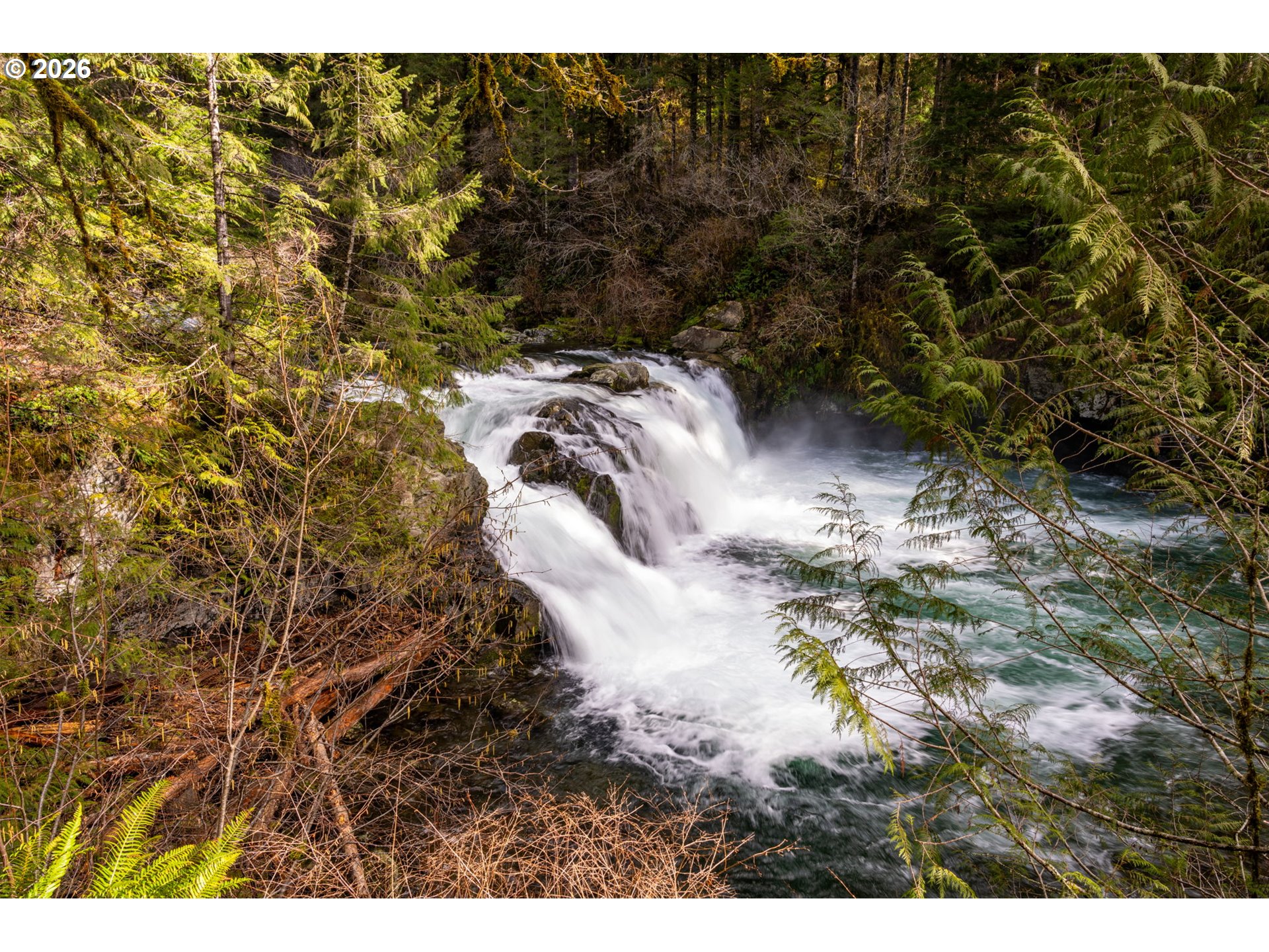 38220 Northeast Sunset Falls Road Yacolt, WA 98675 - Photo 38 of 40 a view of outdoor space and yard