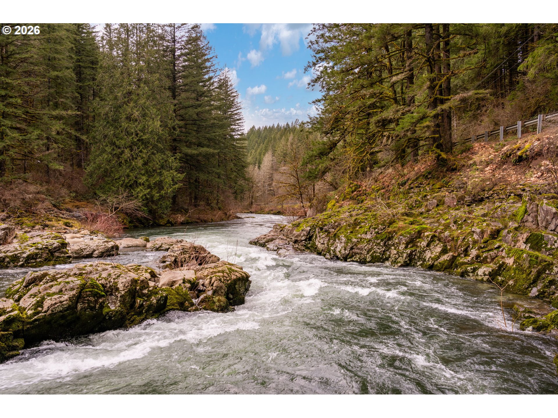 38220 Northeast Sunset Falls Road Yacolt, WA 98675 - Photo 39 of 40 a view of a backyard of the house