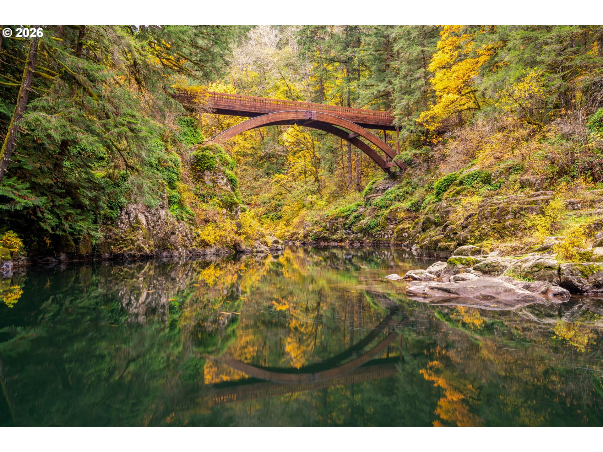 38220 Northeast Sunset Falls Road Yacolt, WA 98675 - Photo 40 of 40 a close up of a plant