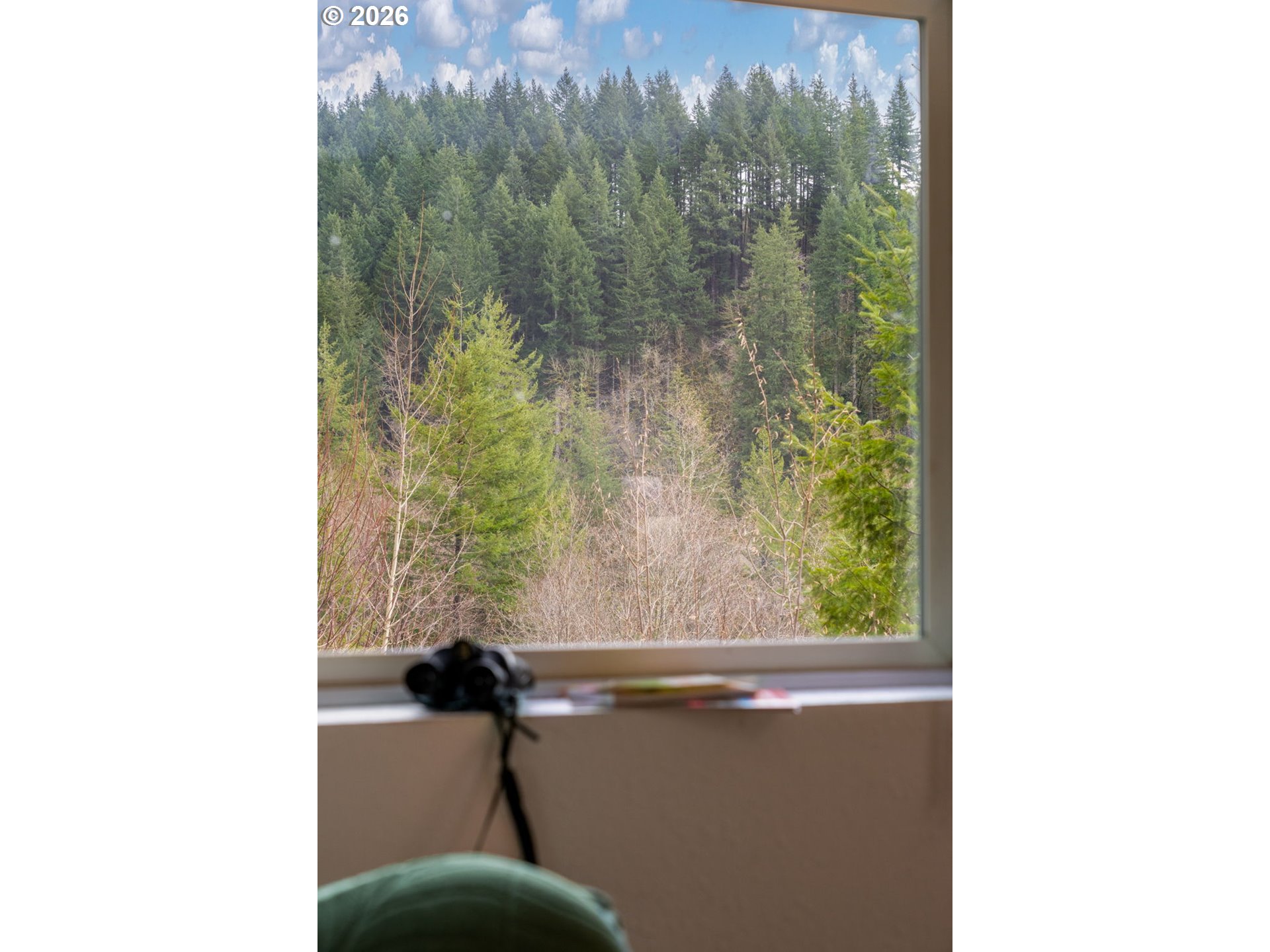 38220 Northeast Sunset Falls Road Yacolt, WA 98675 - Photo 9 of 40 a view of balcony with a garden space